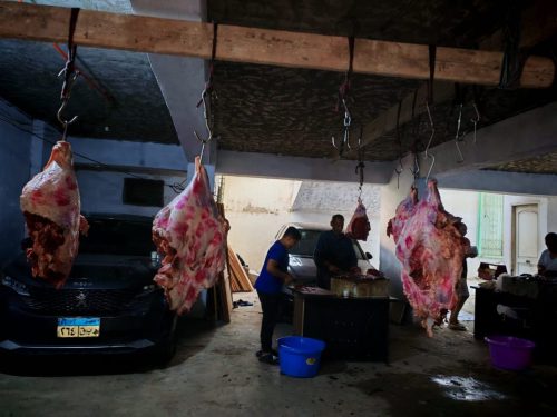 WhatsApp-Image-2025-07-03-at-13.47.31 4fbecee9