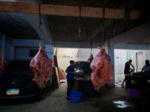 WhatsApp-Image-2025-07-03-at-13.47.31 6e3e6d34