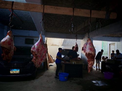 WhatsApp-Image-2025-07-03-at-13.47.31 a6c2cdee