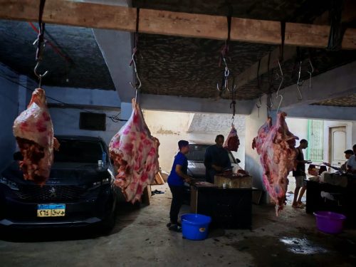 WhatsApp-Image-2025-07-03-at-13.47.31 b79a9051