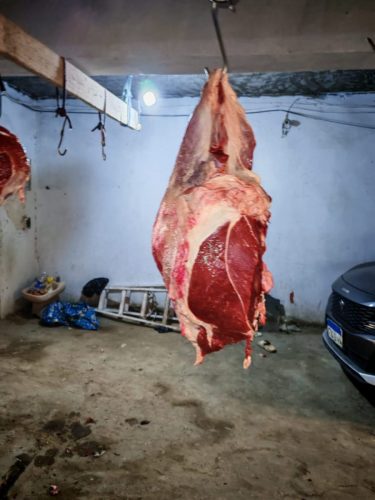 WhatsApp-Image-2025-07-03-at-13.47.32 1ce8423e